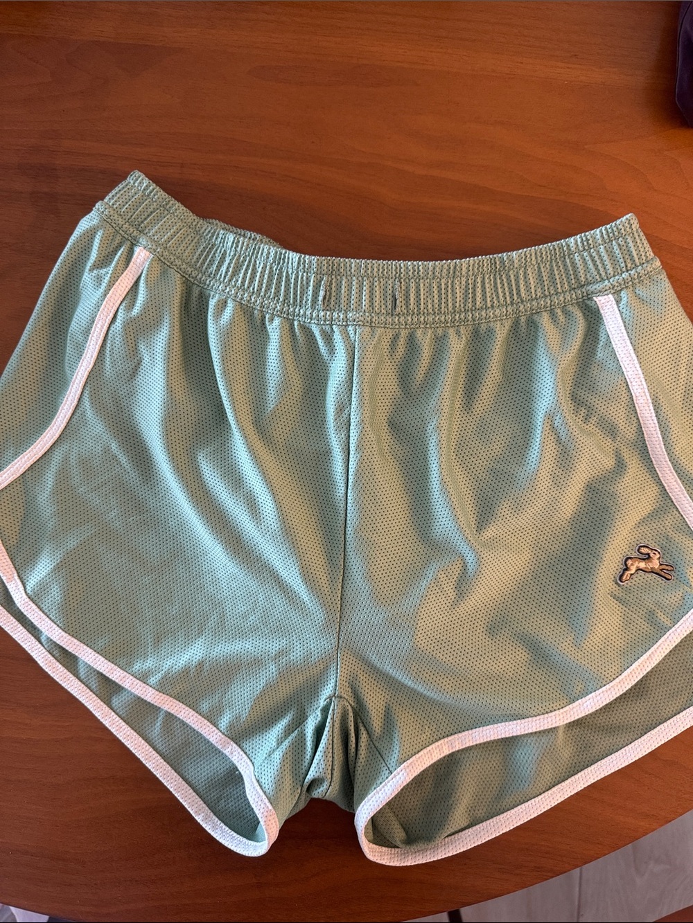 Tracksmith Van Cortlandt Shorts